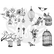 Birdcage Designer Silkscreen